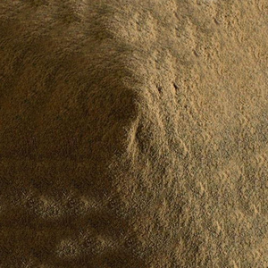 ALGAS SARGASSUM ORGÁNICAS EN POLVO / PICADAS / SECAS / EN BOLSA / PRECIO DE MAYORISTA COMPETITIVO / HECHO EN VIETNAM - Product Image 5