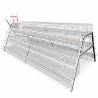Système de cages automatiques de type A pour poulets pondeurs, équipement d'élevage avicole galvanisé pour 5000 oiseaux