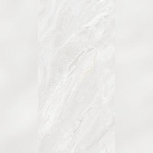 Carreaux de sol vitrifiés Urban Jungle Shine 600x1200mm, intégration biophilique pour les serres et les atriums urbains - Product Image 2