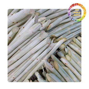Jugo de caña de azúcar natural congelado y palitos de Vietnam |   Productos recién cosechados |   Directo de fábrica - Product Image 3
