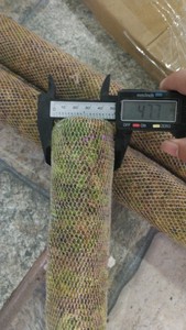 Premium Quality <b>Dried</b> Wood Style <b>Moss</b> Pile Direct from Vietnam for Furniture Use High Quality Agriculture Product - Product Image 2