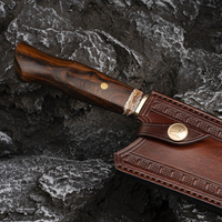Professioneel handgemaakt 8 inch keukenchefsmes van Japans VG10 Damascus staal met ijzerhout fossiel handvat, lederen schede, ambidextrous