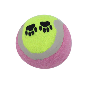 ลูกเทนนิสสำหรับฝึกกีฬากำหนดสีเองลูกสุนัขเล่นคริกเก็ตชายหาดไม้พายฝึกเทนนิสขายส่ง - Product Image 2