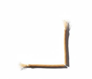 Ecosmile แท่งฟันสมุนไพรธรรมชาติฟอกฟันขาวสุขภาพฟันเป็นมิตรต่อสิ่งแวดล้อมสุขอนามัยในช่องปากทำความสะอาดปากแบบสดชื่น miswak - Product Image 2