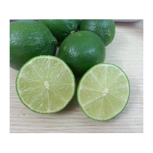 Citron vert frais de qualité d'exportation/citron du Vietnam sans pépins/goût aigre 100% naturel et agrumes frais verts - Product Image 1