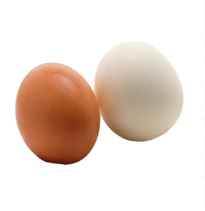 Chicken Table <b>Eggs</b> Packed With Care And Freshness Bulk Supply Premium Table <b>Eggs</b> - Product Image 6