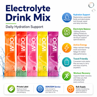 Sachets de boisson en poudre d'électrolyte personnalisés supplément d'énergie d'hydratation marque privée OEM ODM approvisionnement d'usine