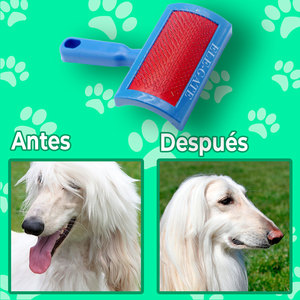 Spazzola Lisciante Personalizzabile per Cani e Gatti in Plastica ABS Morbida con Punte Protette, Cura del Pelo del Tuo Animale Domestico - Product Image 4
