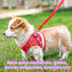 Pettorina Sportiva per Gatti e Cuccioli, Taglie Piccole e XL, in Nylon e Poliestere Riflettente con Guinzaglio, Tinta Unita o Fantasia Animale - Product Image 6