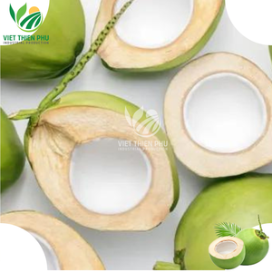 ลดสุดๆ!!! เนื้อมะพร้าวแช่แข็ง ราคาถูกสุดๆ คุณภาพสูง พร้อมส่งออกจากเวียดนาม - Product Image 5