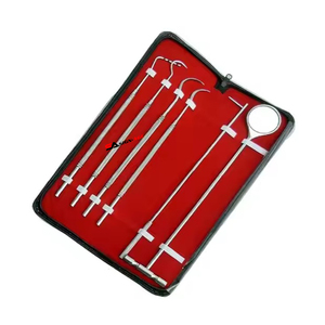 Professional Stainless Steel Veterinary Probe Scaler Dental <b>Cleaning</b> <b>Tool</b> dental set surgical instruments By Sign-Age Surgical - Product Image 1