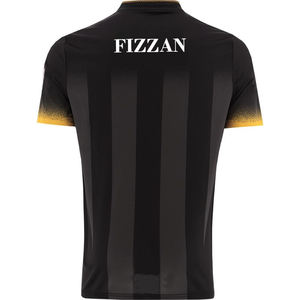 Jerseys de lanzamiento gaélico de la mejor calidad de Fizzan International, camiseta de fútbol gaélico GAA, camiseta hecha de poliéster, entretenimiento deportivo - Product Image 6