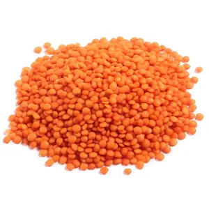 红扁豆质量特征对应州际标准健康豆类/扁豆批发