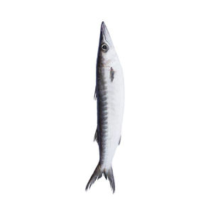 Poisson Barracuda de haute qualité congelé rond entier faible en glucides et sans gras trans de qualité supérieure 1kg emballé sous vide - Product Image 5
