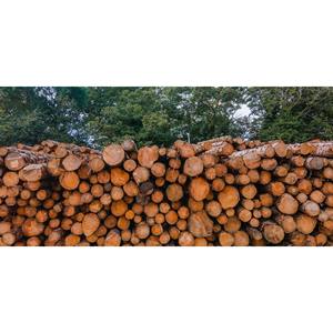 Premium Timber <b>Logs</b> Dense Hardwood, Perfect for Beams, Decking, and Outdoor Structures - Product Image 6