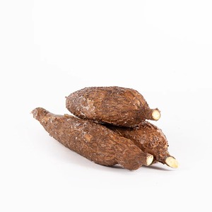 Yuca fresca de cosecha Premium Textura natural de yuca fresca a granel Ideal para procesamiento y distribución a gran escala - Product Image 1