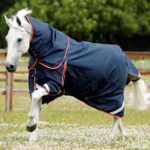 Donde la precisión técnica se une a la gracia natural: dominando el arte del ritmo y el espacio, la unión definitiva de la carrera ecuestre. - Product Image 5