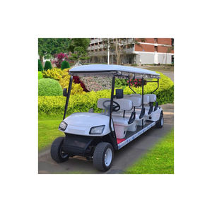 Véhicule électrique tout-terrain de tourisme Dafoe Global Trade GmbH Allemagne, directement de l'usine - Product Image 1