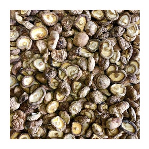 Hongos Shiitake Secos de la Mejor Calidad a Precio de Oferta - Product Image 2