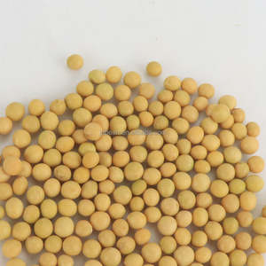 PRIX D'USINE SOJA BIOLOGIQUE NON OGM À VENDRE - Product Image 1