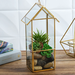 Terrarium sphérique en verre avec couvercle en liège, mousse verte luxuriante et plantes à feuillage vibrant, idéal pour les installations tropicales chez Wholesales - Product Image 3