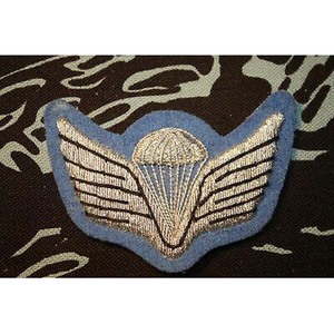 Écussons brodés à la main, emblèmes en fil de bullion, crête, badge fait main, patch, aile en bullion - Product Image 2