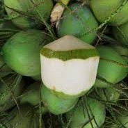 Đích thực tươi Thái dừa nhiệt đới và giải khát uống với phong phú ngọt ngào điện đóng gói nước trái cây vỏ bột giấy - Product Image 4