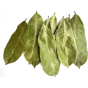 Hojas de Guanábana Secas Orgánicas, Hoja de Annona Muricata, Recogidas a Mano y Secadas al Aire - Product Image 1