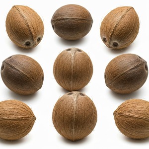 El mejor precio, cocos maduros frescos para exportación, carne gruesa de agua dulce, perfecto para supermercados minoristas y procesamiento - Product Image 2