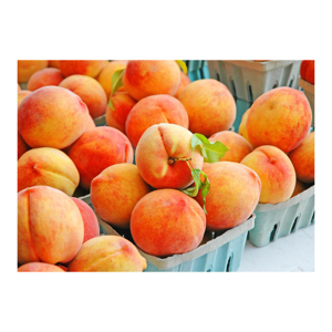 Pêche Sauvage de Première Qualité au Meilleur Prix Biologique Naturel France Fruits Frais VIVO SOLEM SARL en Vente - Product Image 6