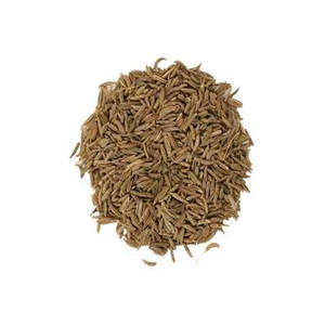 Graines d'huile essentielle de carvi biologique de haute qualité matière première disponible au prix de gros - Product Image 4