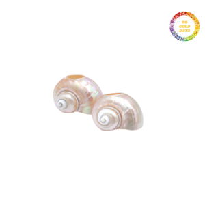 แหวนผ้าเช็ดปากเปลือกหอยที่ทนทานออกแบบมาสำหรับการตกแต่งอาหารที่หรูหราและขายส่งคุ้มค่า - Product Image 2