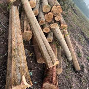 Pile de bois fabriquée au Vietnam et prête à exporter - Product Image 5