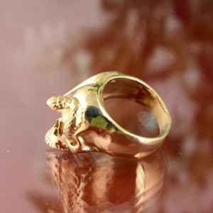 Anillo de calavera de víbora de Hip-Hop europeo y americano, banda de boda de estilo oscuro, ajuste de bisel, joyería al por mayor para ropa Hipster - Product Image 3