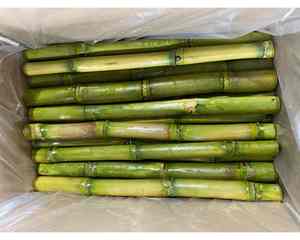 IQF อ้อยแช่แข็งรสหวานธรรมชาติ - Product Image 6