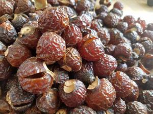 ผงสกัดสบู่ขนาดบรรจุภัณฑ์: 1-25กก. ปริมาณมากจากเวียดนาม - Product Image 5