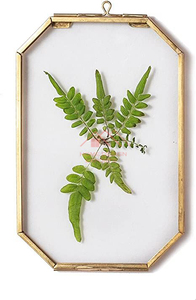 Round Corner Design Metal Kiko <b>Frames</b> Wall Hanging Brass <b>Frames</b> - Product Image 4