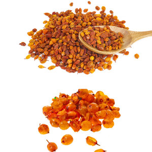 Baies d'argousier bio | Prêt pour les marques cosmétiques et nutraceutiques - Product Image 5