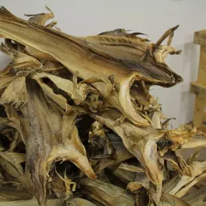 Norwegen Trockenstockfish zu verkaufen / Getrocknetes Stockfish / Gefrierter Stockfish aus Norwegen