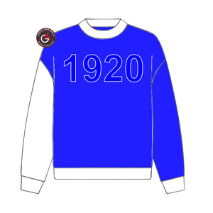 Sudadera con capucha de parafernalia bordada de hermandad de mujeres Zeta Phi Beta griega personalizada - Product Image 5