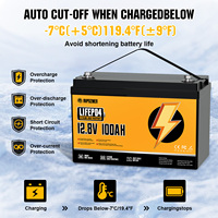 Batterie au phosphate de fer de lithium 12v 24v 48v 100ah 200ah 300ah Cycle profond Stockage d'énergie Batterie Lifepo4 avec BMS
