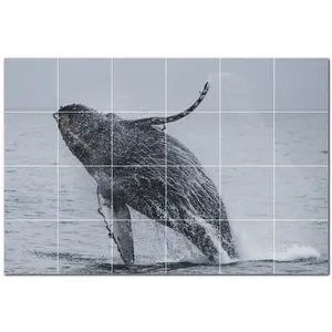 ภาพจิตรกรรมฝาผนังกระเบื้องเซรามิกวาฬ PT501190 25.5 \ "W x 17 \" H ชุดกระเบื้อง24 4.25" - Product Image 1