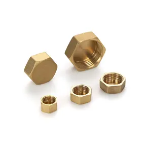 Giá tốt nhất nữ chủ đề ống <span class=keywords><strong>End</strong></span> Cap Brass Hex Head <span class=keywords><strong>End</strong></span> dừng phù hợp cho Air gas đường ống nước - Product Image 1