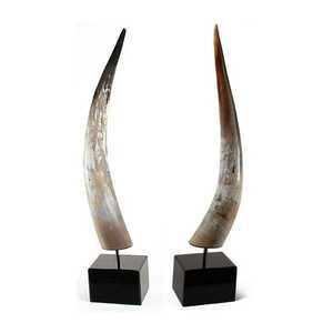 Taza vikinga de cuerno de buey Natural pulido ecológico, jarra para beber, estilo Animal, venta al por mayor, grabado personalizado - Product Image 1