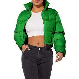 Doudoune courte chaude pour femme, classique, à fermeture éclair, avec col montant, respirante, pour l'extérieur et le streetwear hivernal - Product Image 1