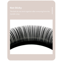 DIYDAY YY 2D 0.07 Extensions de cils individuels noirs et bruns, matériau PBT, cils naturels, étiquette privée, vente en gros
