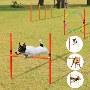 Kit d'entraînement aux obstacles en plastique pour chiens - Product Image 2