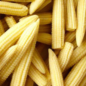Maíz de bebé congelado ideal para restaurantes, venta al por menor y procesamiento de alimentos - Product Image 1