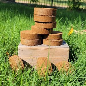 Bloques de Turba de Coco Comprimida para Germinación de Semillas, Hechos en India, para Cultivo Hidropónico en Interiores/Exteriores, 60mm 80mm 100mm, 100% Turba - Product Image 1