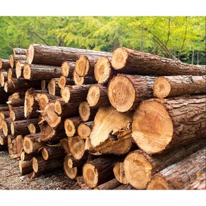 Madera aserrada de alta calidad, recién cortada, duradera y lista para uso en construcción y fabricación - Product Image 6